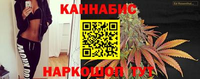 apvp Гагарин