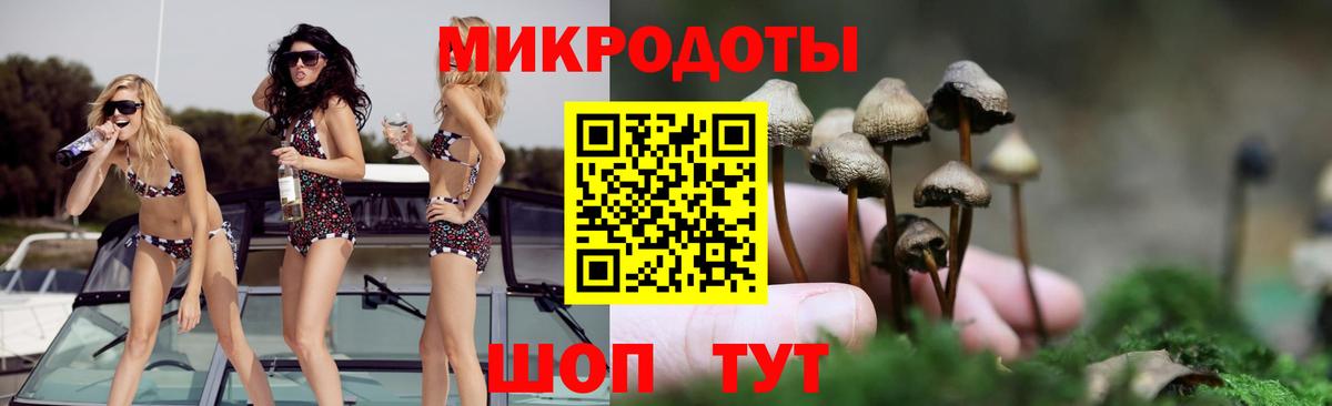 Галлюциногенные грибы MAGIC MUSHROOMS  Зеленокумск  Галлюциногенные грибы Psilocybe 